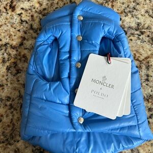 Moncler Blue Quilted Dog Jacket